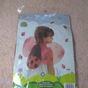 Ladybug wings set